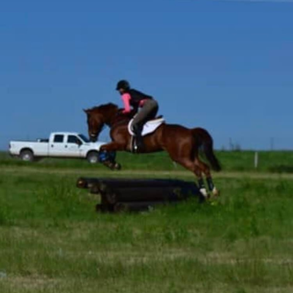 Meet your Posher, Sarah